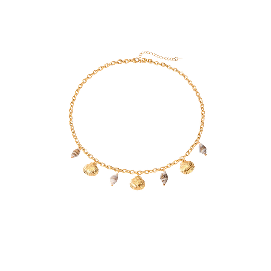 Seashell Charm Necklace
